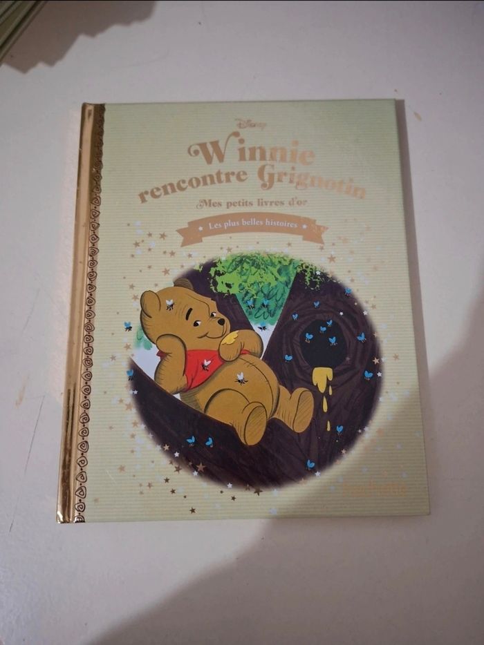 Livre Disney Winnie rencontre Grignotin