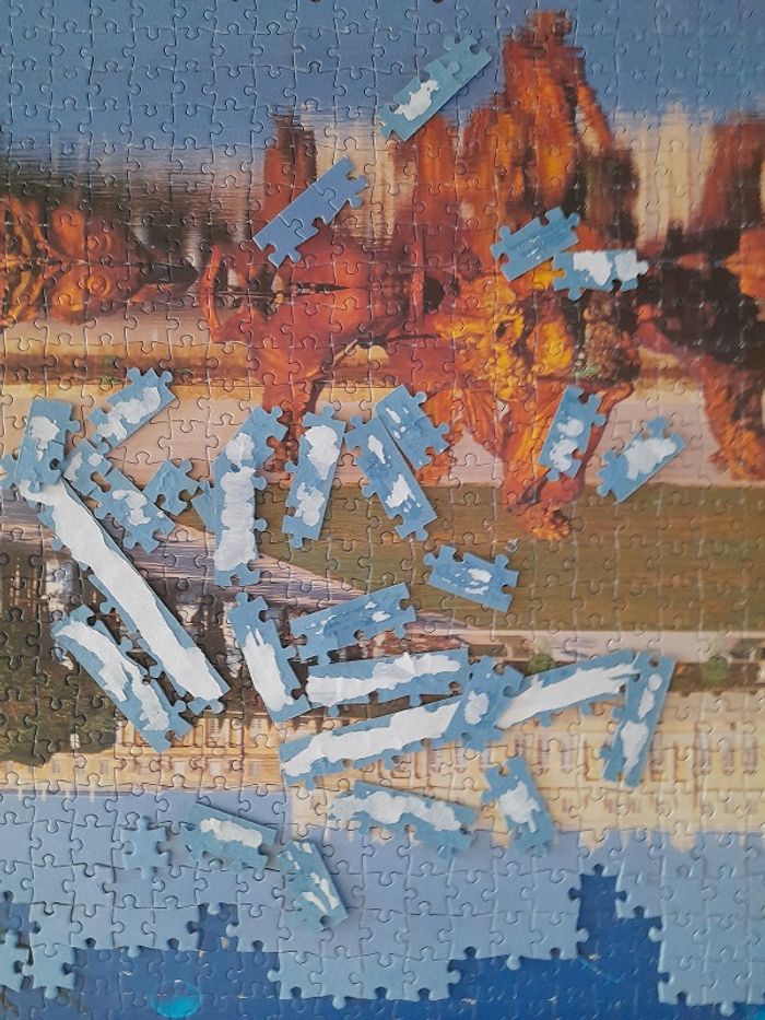 Puzzle 1000 pièces Versailles - photo numéro 8