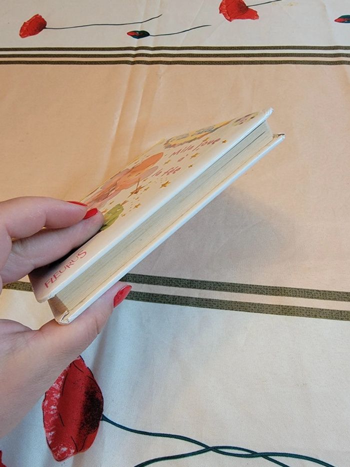 Mila joue à la fée - photo numéro 4