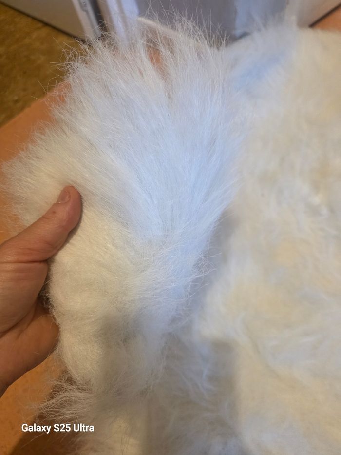 Tapis - photo numéro 5