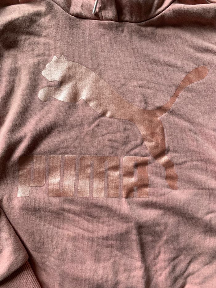 Sweat puma