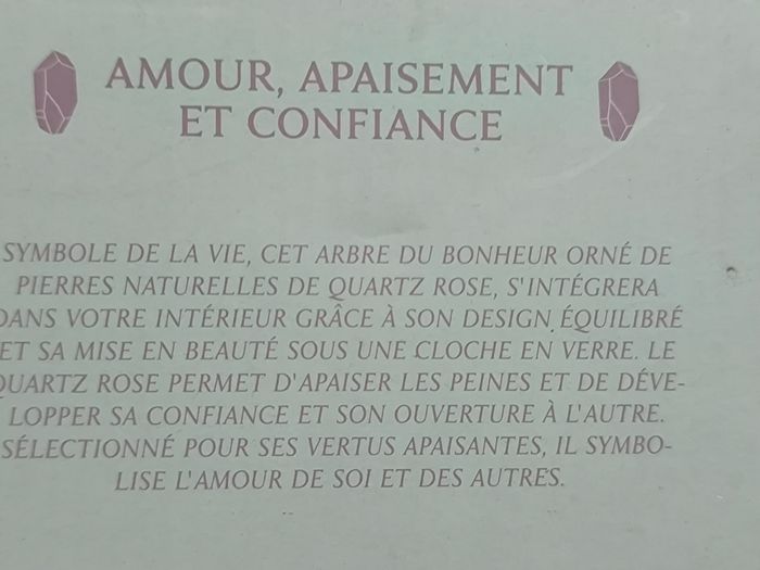 Arbre du bonheur sous cloche - photo numéro 5