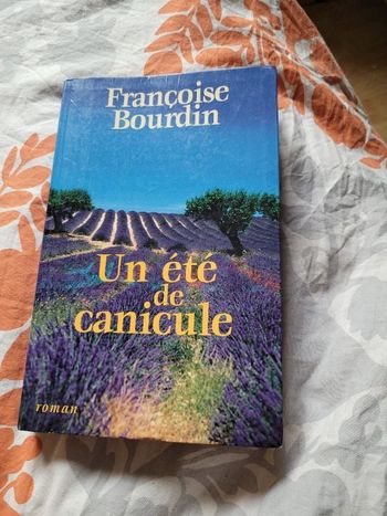 Un été de xanicule Françoise Bourdin
