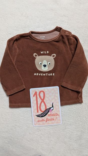 T-shirt pyjama velours 18 mois