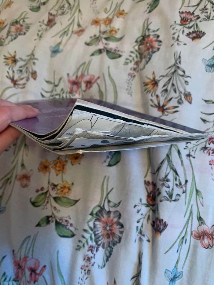 City of Fireya - photo numéro 3