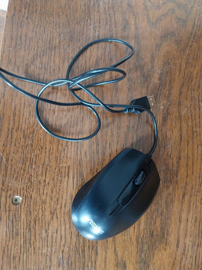 Souris filaire
