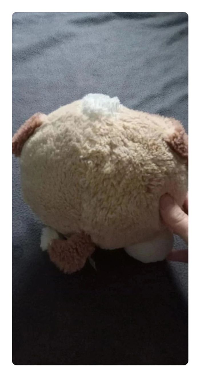 Peluche chien - photo numéro 5