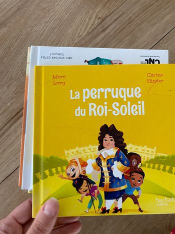 Livre la perruque du roi soleil