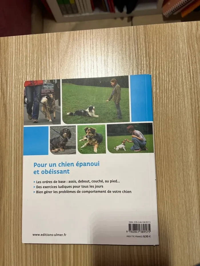 Éduquer son chien - photo numéro 2