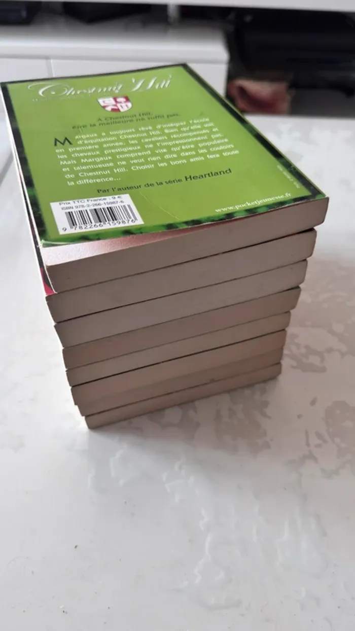 📚 Lot complet – Chestnut Hill – Tomes 1 à 9 – Lauren Brooke - photo numéro 7