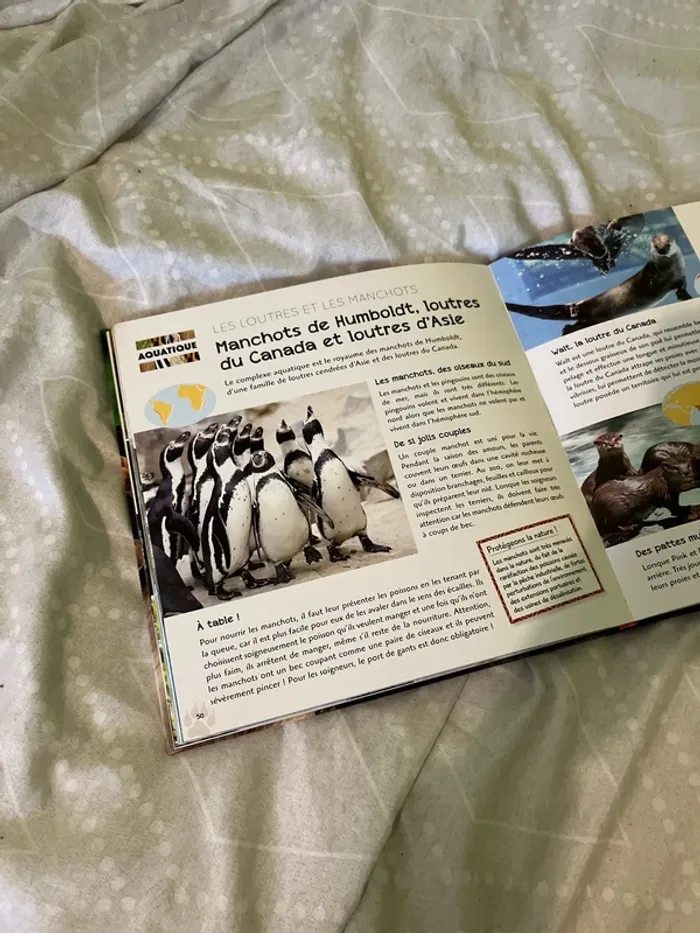 Livre une saison au zoo - photo numéro 3