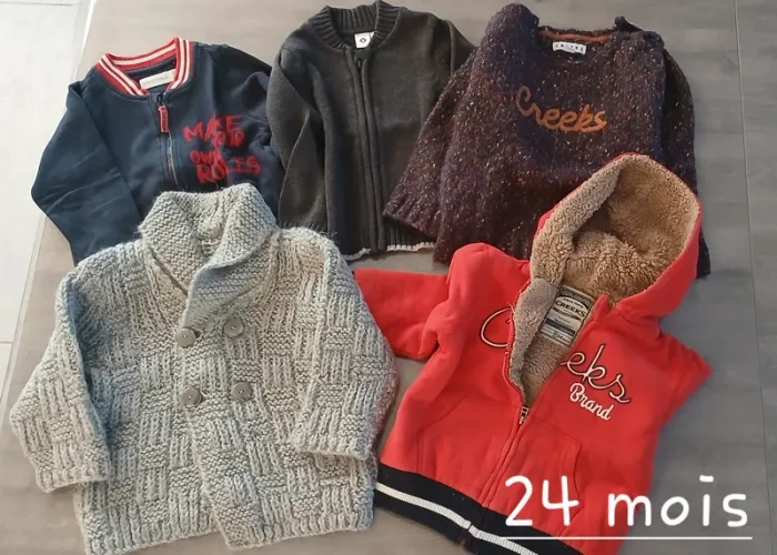 Lot pulls/veste zippee