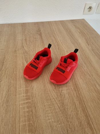 Basket puma