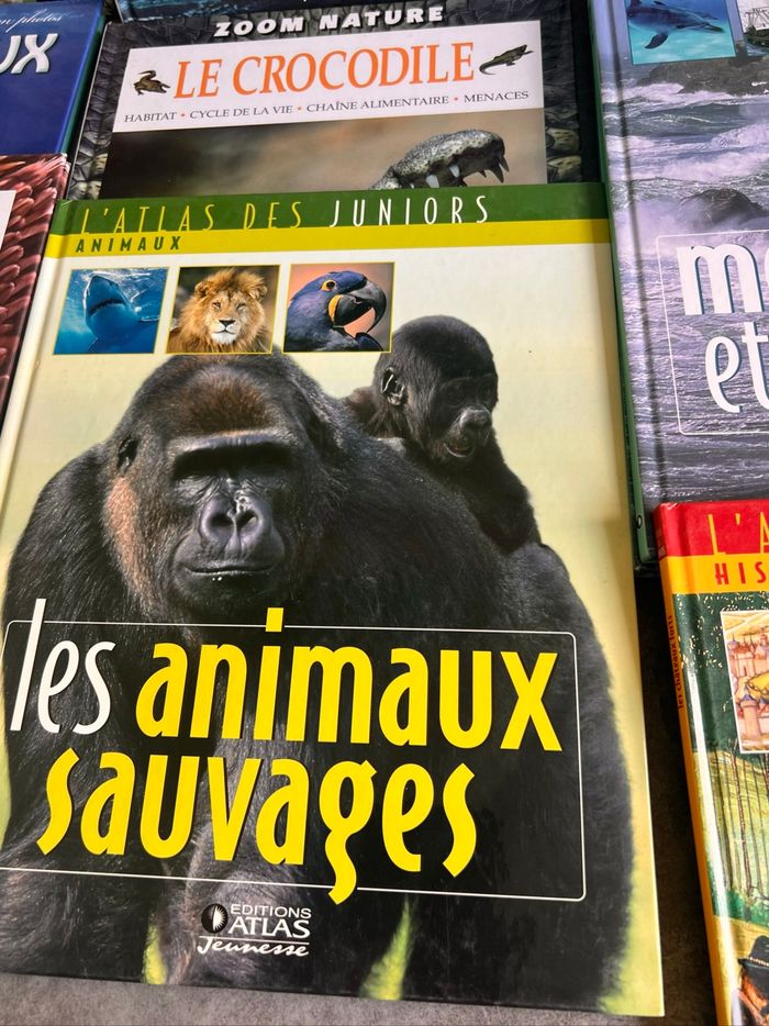 Atlas des juniors - photo numéro 6