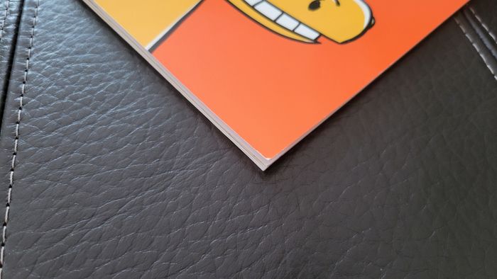 Livre " Palomino " - photo numéro 7