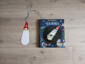 Livre Lanterne magique, pars à la recherche des Licornes neuf