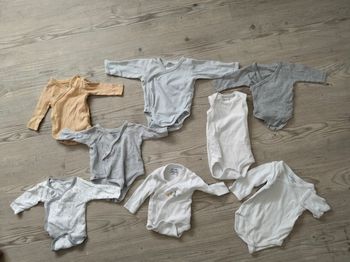 Lot de 7 bodies manche longue 56 cm
