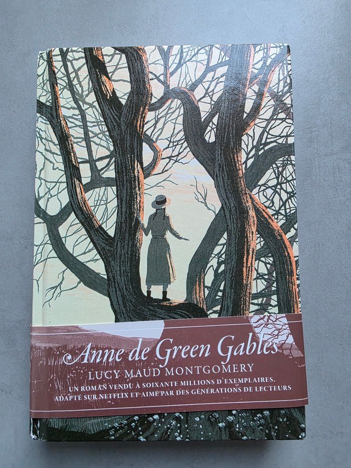 Anne de Green Gables - photo numéro 1