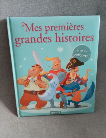 Livre mes premières grandes histoires pour les garçons