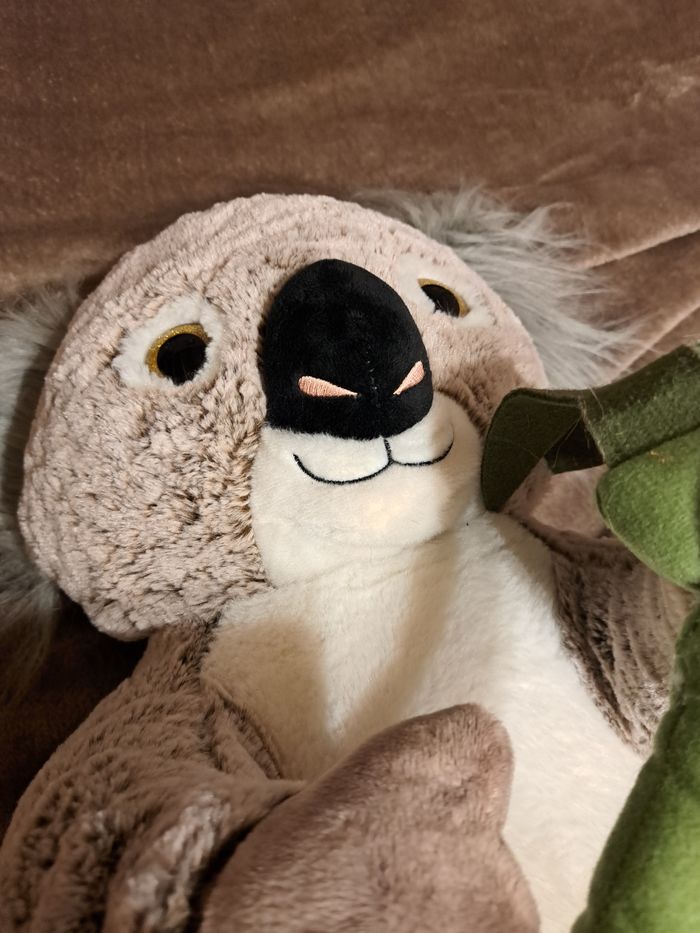 Peluche koala xxl - photo numéro 2