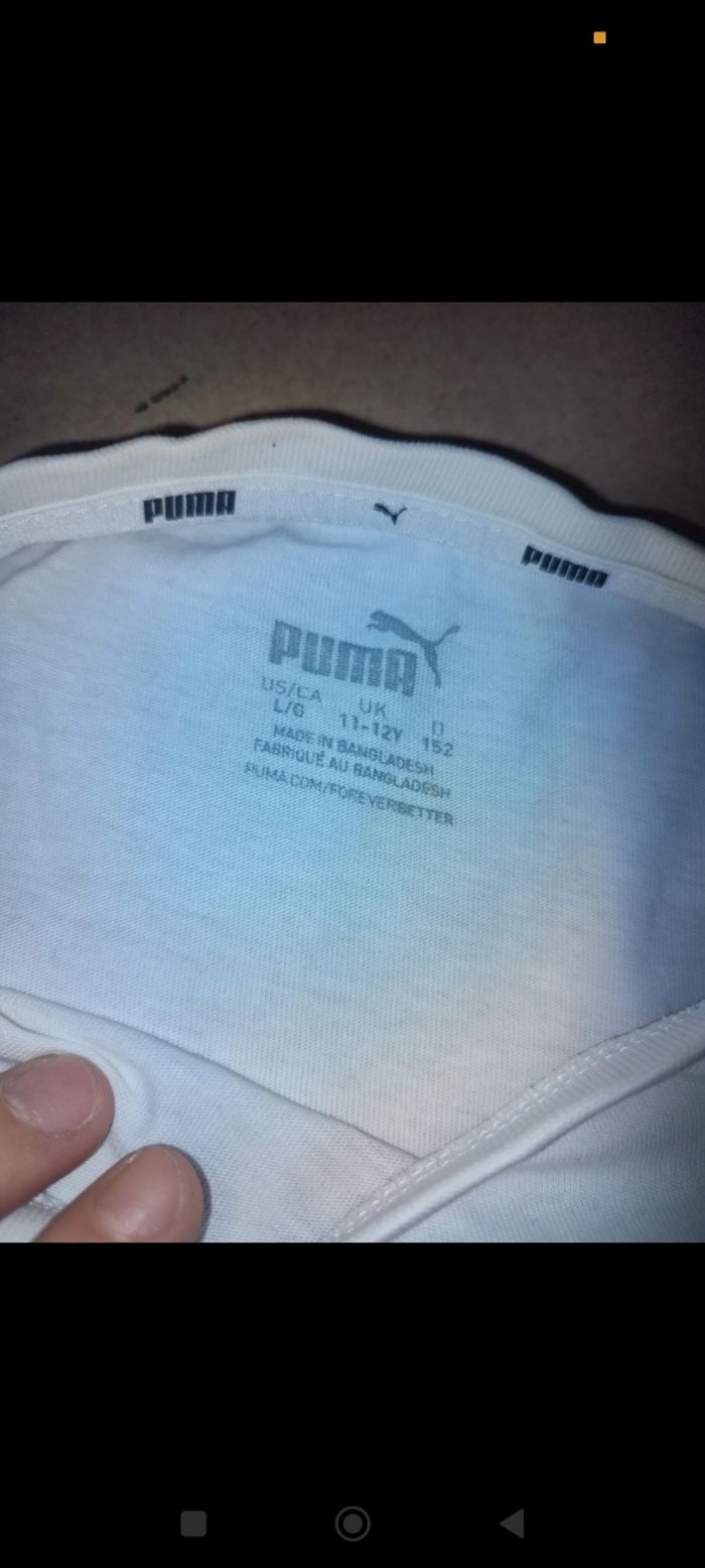 Haut puma - photo numéro 3