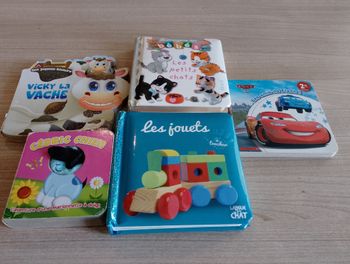 Lot de 5 livres cartonnés, divers (1)