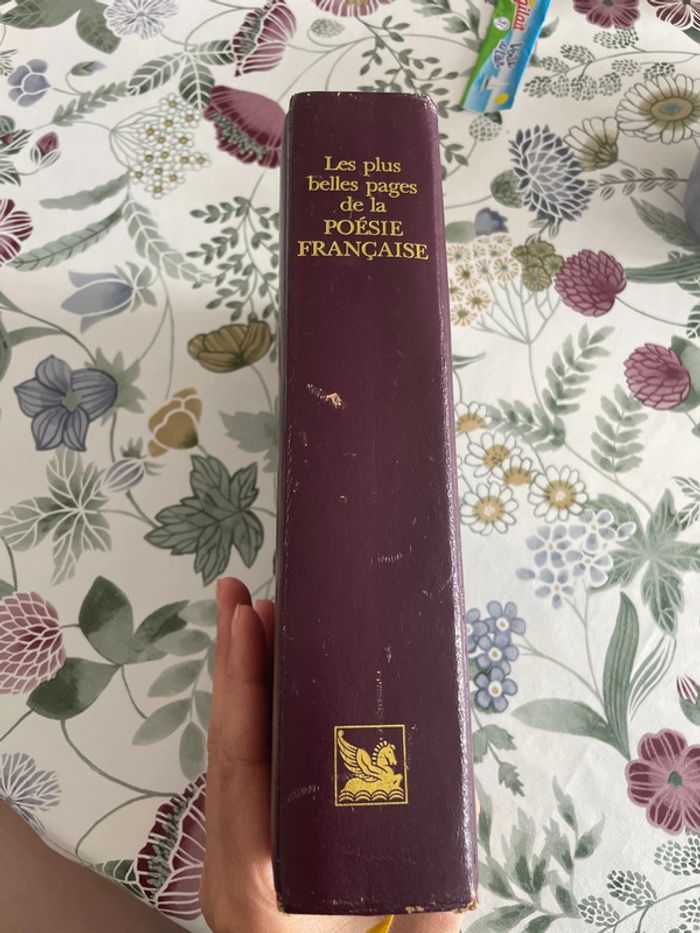 Les plus belles pages de la poésie - photo numéro 2
