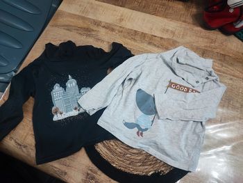 Lot 2 tee shirt 24 mois