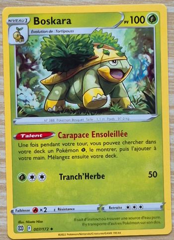 Boskara Stars Étincelantes