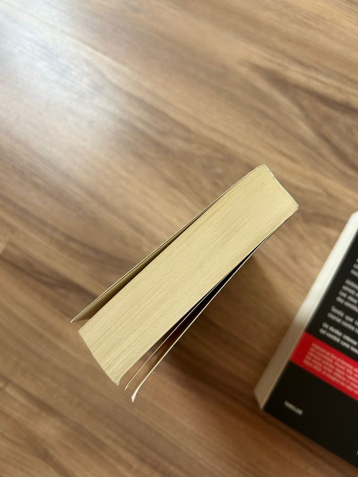 Lot de 2 livres Thriller / Roman Noir - photo numéro 5