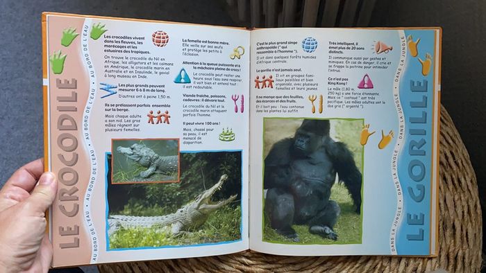 Animaux sauvages - photo numéro 5