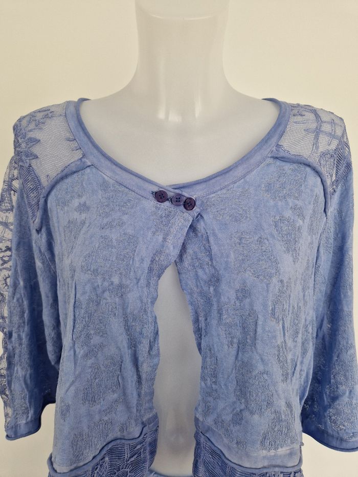 Ensemble dégradé bleu, Pigment Rouge - photo numéro 2