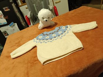 Pull bébé