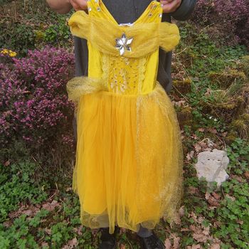 Deguisement Robe Princesse  Enfant