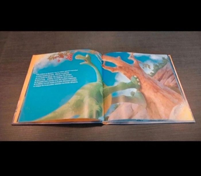 le voyage d'arlo - photo numéro 3