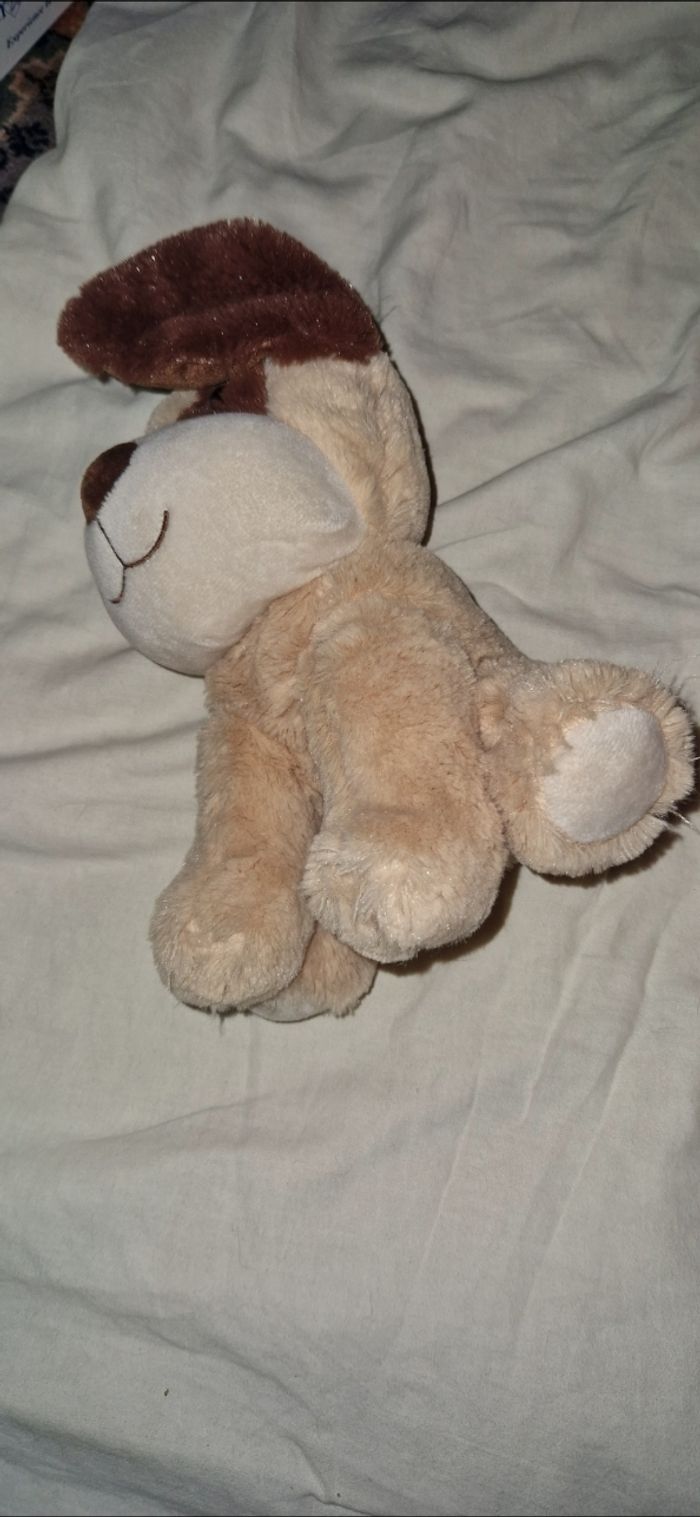 Chien - photo numéro 3