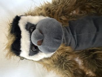 grand Singe en peluche eluz