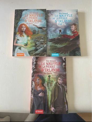 Livre Le souffle de la pierre d’Islande 