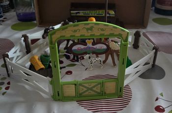 Parce cheveaux spirit