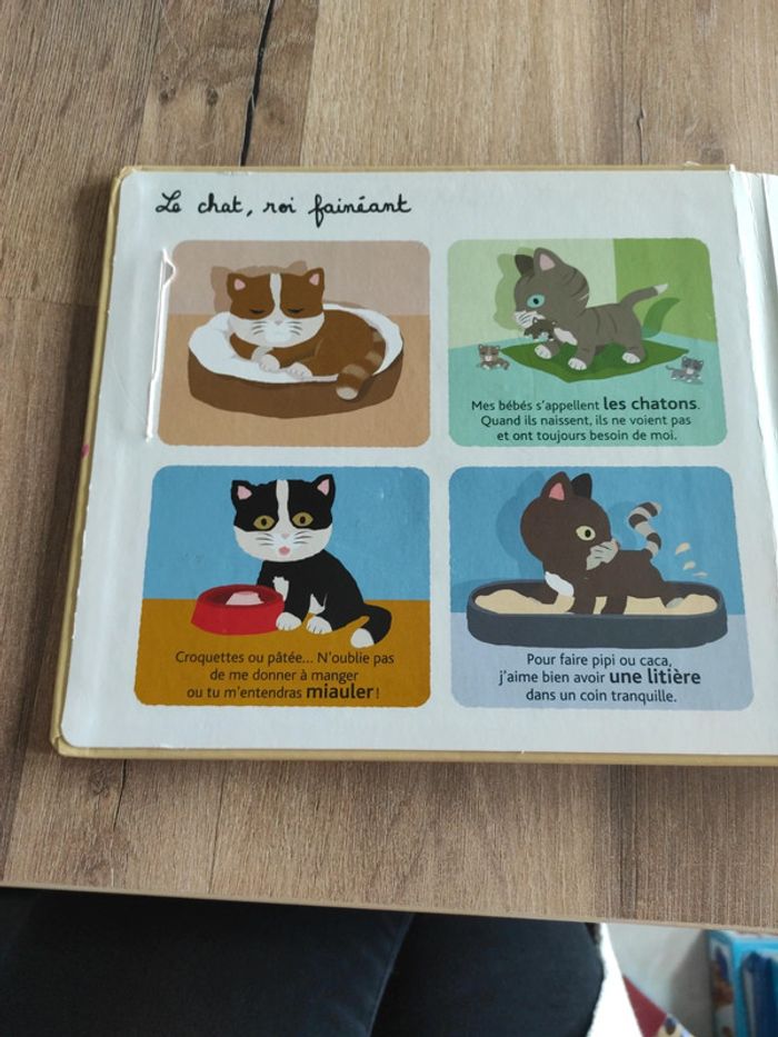 Livre : Mes animaux familiers à toucher - photo numéro 7