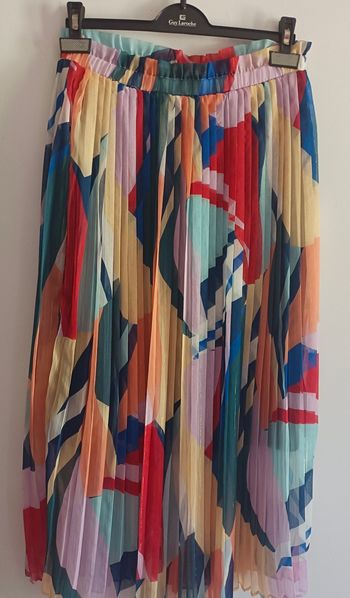 Jupe plissée multicolore