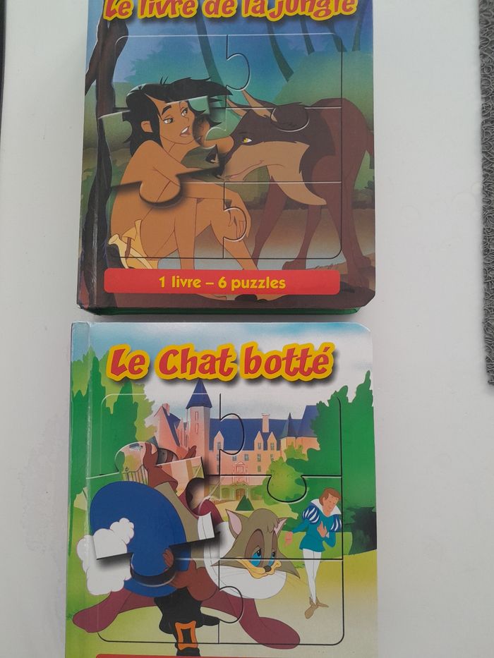 Lot 2 livres puzzles