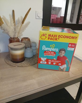 Pampers baby dry pants taille 8 maxi economie