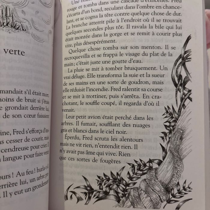 Livre l’explorateur - photo numéro 4