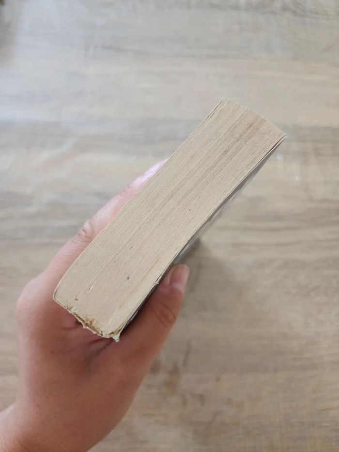 Livre de poche "le cri" de Nicolas Beuglet - photo numéro 5