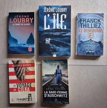 Lot 3 livres récents - Jérôme Loubry  - Heather Morris