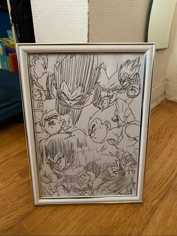 Cadre Dragon Ball