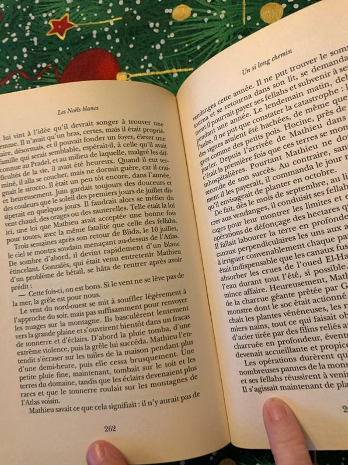 Les Noëls blancs - photo numéro 7