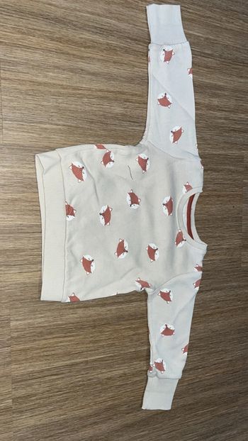 Ensemble renard
