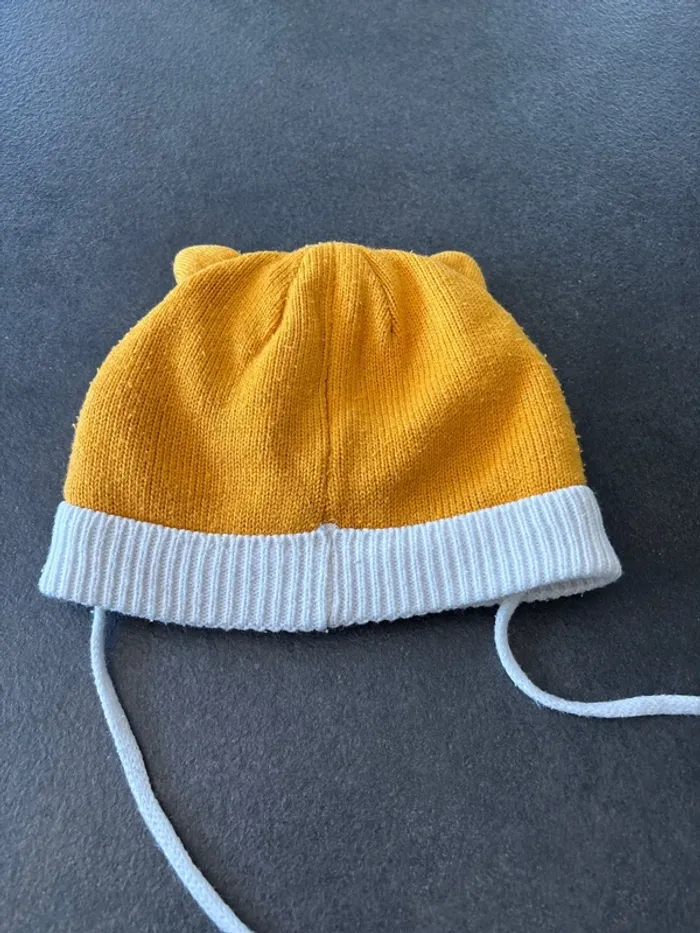 Bonnet - photo numéro 4